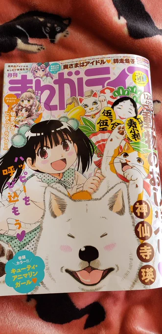 竹書房さんのまんがライフに「にゃっぴーライフ!!」がゲストで載っています!
この作品は以前4コマ王大賞で受賞した作品のリメイクとなります。
まろ美さんとえこちゃんのゆるゆる同居生活を楽しんでいただけたらと思います。
感想もいただけたらもっと嬉しいです。
何卒宜しくお願い致します! 