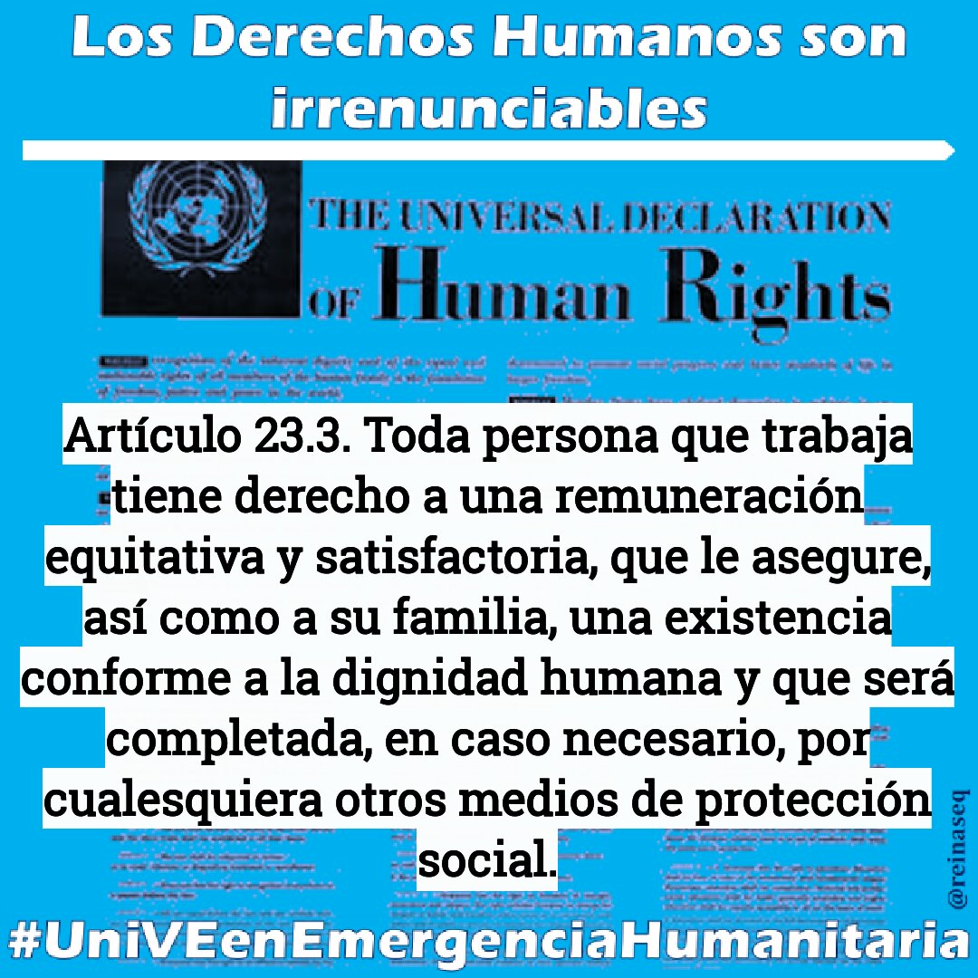reinaseq's tweet photo. Casi culmina octubre y con un $ en incontrolable alza la pobreza extrema #UniVE tiende a agudizarse, es URGENTE q el estado venezolano entienda q con #SalariosDePobrezaExtremaUniVE no se revierte el hambre y la miseria en la q vive el sector universitario, SOLUCIONES YA @ONU_es https://t.co/EYZIwjAaqs