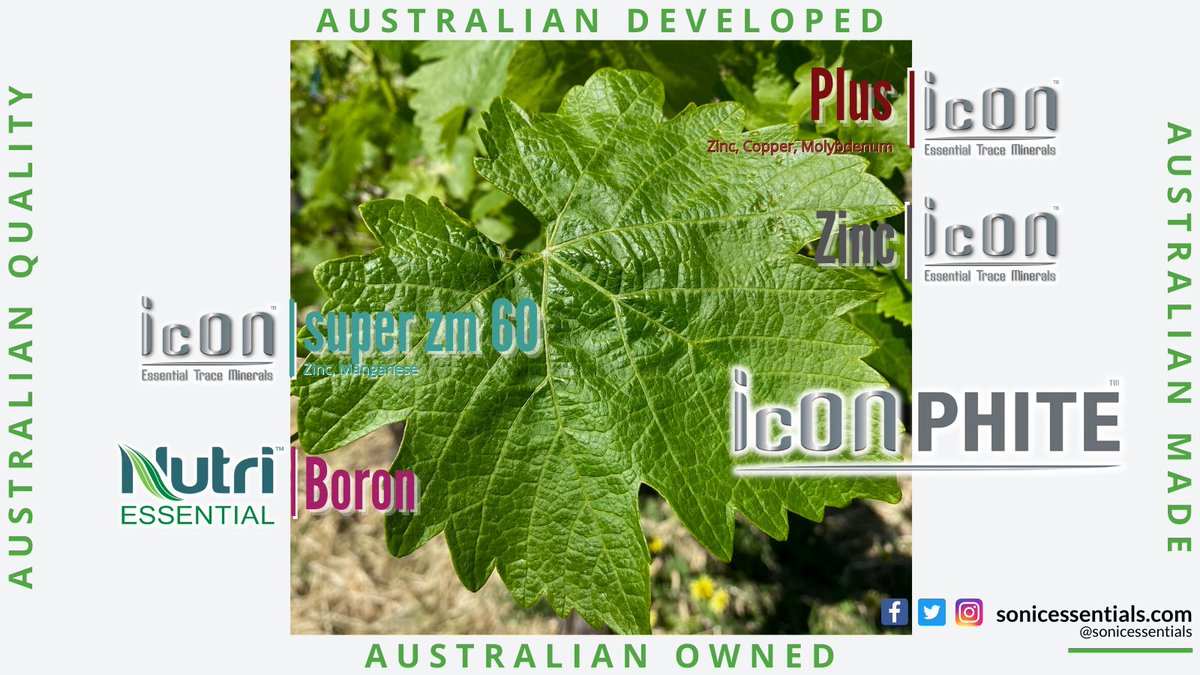 SonicEssentials's tweet photo. #sonicessentials has your #viticulture & #horticultural health covered #Aussiemade https://t.co/w99vaxdFmu https://t.co/4VasFHGYmS