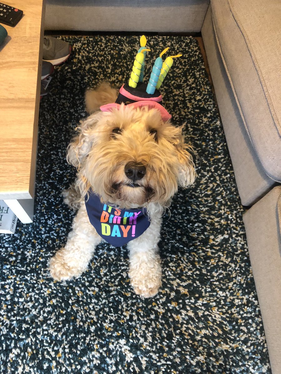 David Claridge tweet media