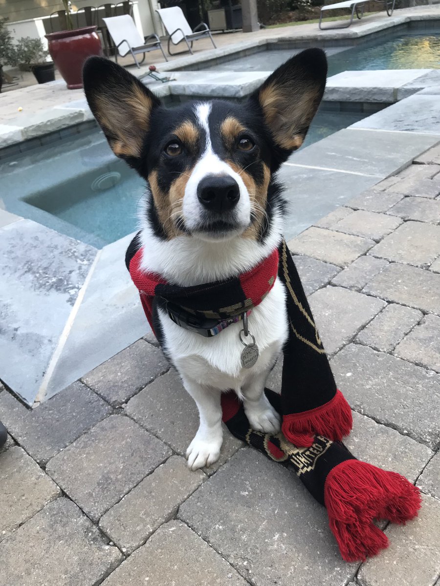 TroyHarris4str's tweet photo. I smell a win. #uniteandconquer #atlutd https://t.co/a5IFAvwZyE