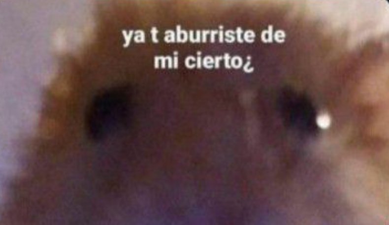 Yaku nos abandono y cambio por una tal agua y un tan comida 

¿Algo que decir <a href="/little_kittwn/">𝙔𝒂𝒌𝒖 𝙈𝒐𝒓𝒊𝒔𝒖𝒌𝒆</a> ?