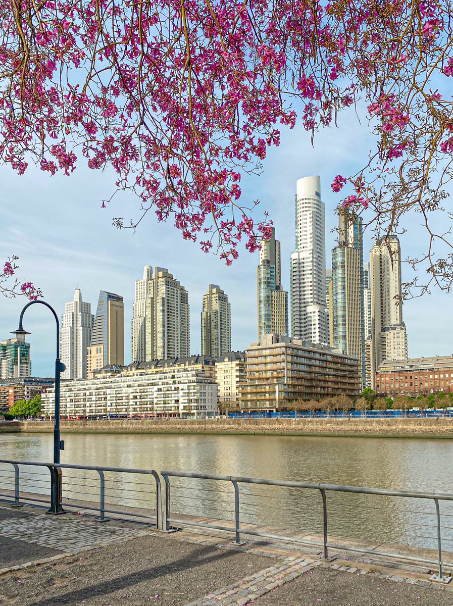 FabriCaradonna's tweet photo. La Ciudad de Buenos Aires a través de mi cámara 📷💛 https://t.co/7TAgP8jqhW
