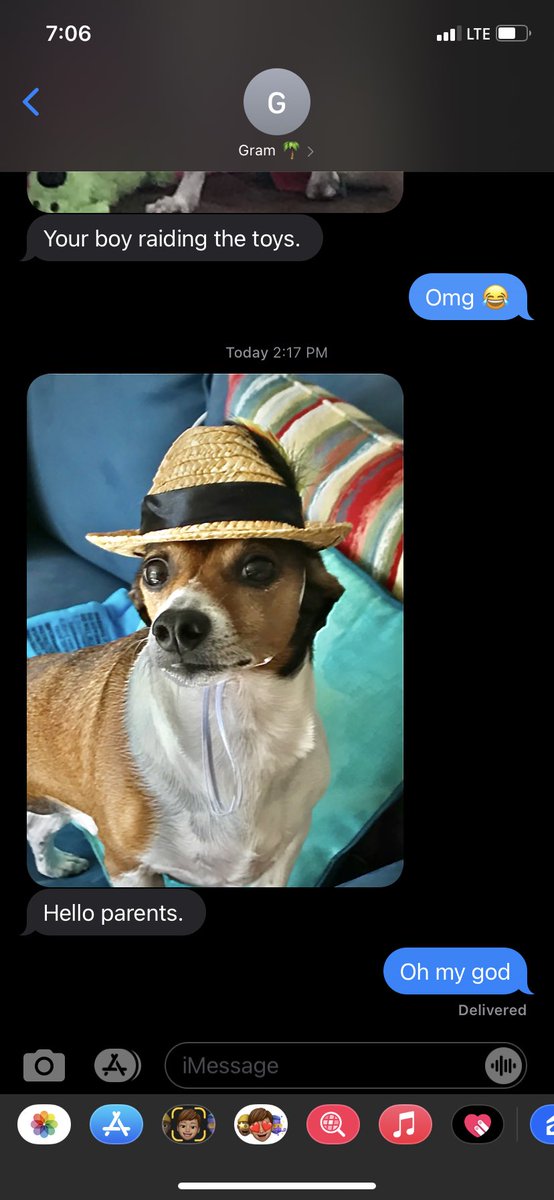 I hate leaving Milo when we go out of town but these updates from my grandma are keeping me going 🤣