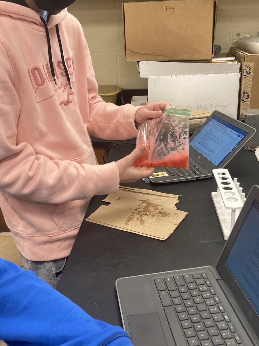 MsStauffer's tweet photo. I was so excited to become a member of Mrs. Krejnus’ Biotechnology class today as they extracted DNA! https://t.co/m08L8tiDP0