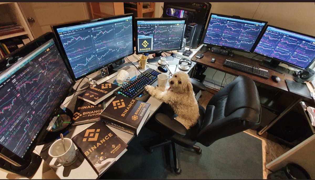 all_u5's tweet image. #SHIB 🤣😂🚀