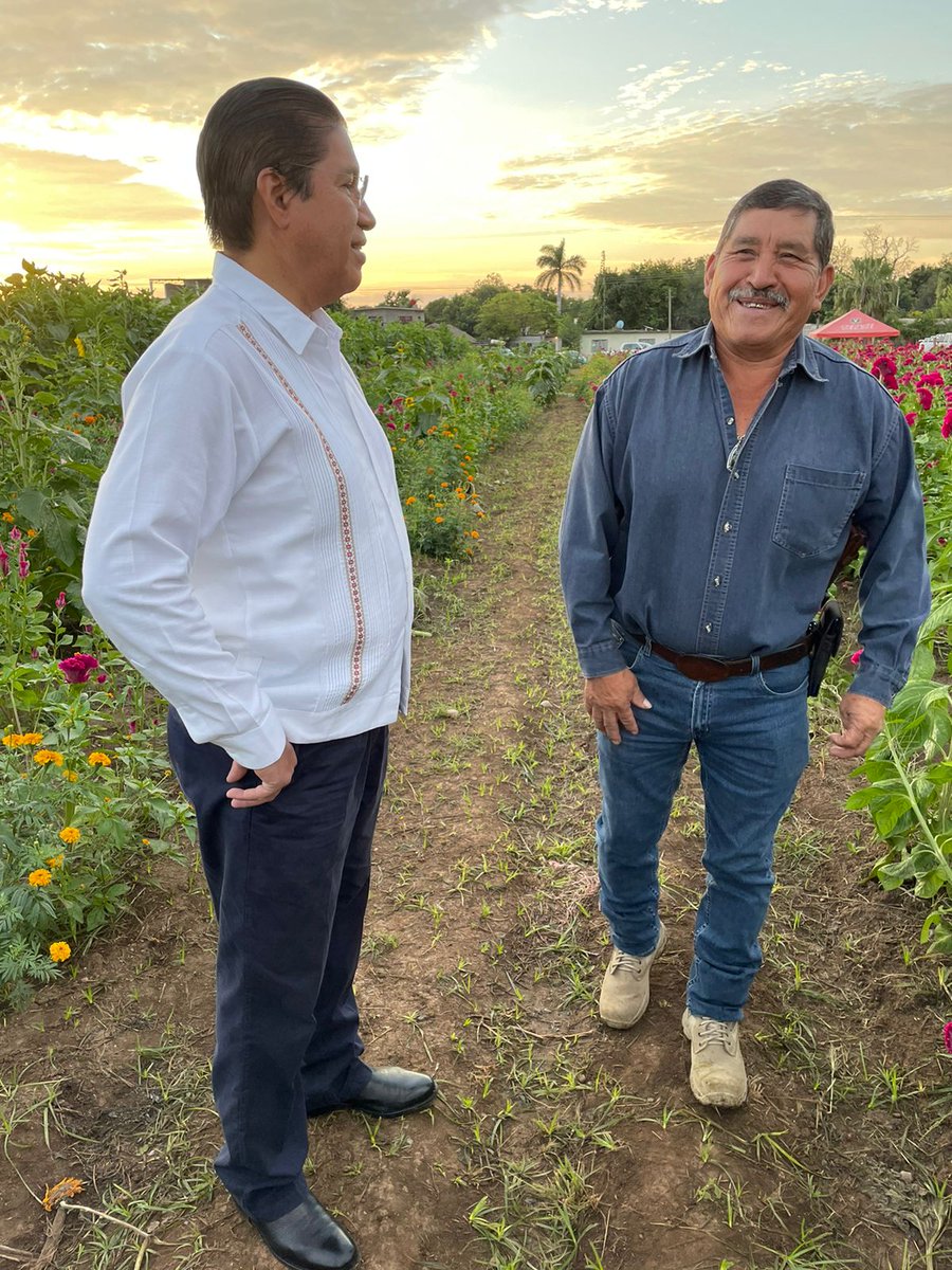 Rodolfogonval's tweet photo. Ayer por la mañana me di un momento para ir aquí cerquita de #CdVictoria a comprar flores de cempasúchil para el altar que pongo todos los años en mi casa. Ahí conocí a Don Panchito, un hombre trabajador... Gracias por darse un tiempo para platicar. https://t.co/xhMe3ksRYo