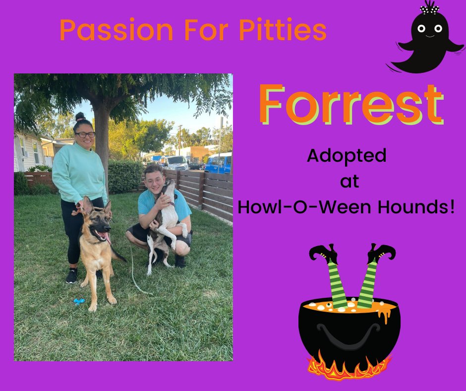 sdshelters's tweet photo. 🐾🎃Howl-O-Ween Hounds Adoption Event 🎃🐾
#PuPDate
Forest was recently added to the rescue.  We knew he would go quickly, and sure enough, at his first adoption event he found his fur-ever family!!  😍  
#EveryAnimalHasAStory https://t.co/2qnvZrGPNK