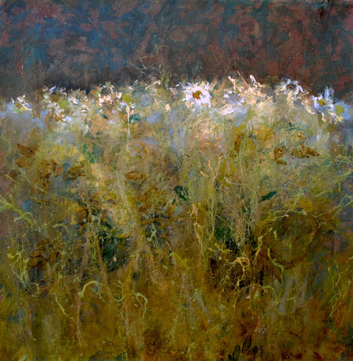 JohnMcClenaghen's tweet photo. Before Dawn, Durieshill. When the light from a window or perhaps the first light of dawn catches the tops of a wild meadow in the chill of early morning. @fidrafineart #exhibition #autumntowinter #firstlight #artforthehome #scottishcontemporaryart #durieshill https://t.co/q6nDON5C3k