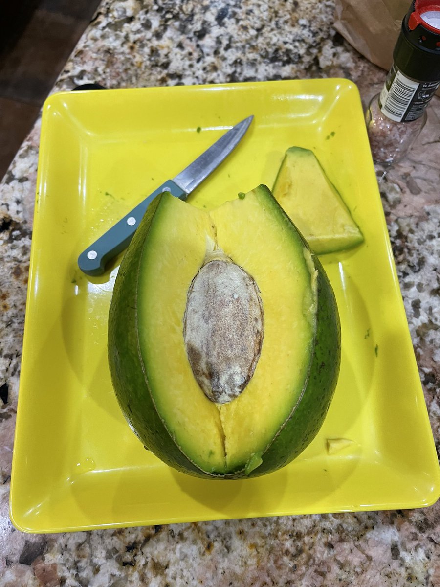 AshUmJo's tweet photo. When #avocado aka #zaboca is life! #missingtrinidad 🇹🇹 https://t.co/oCyFmPLmDO