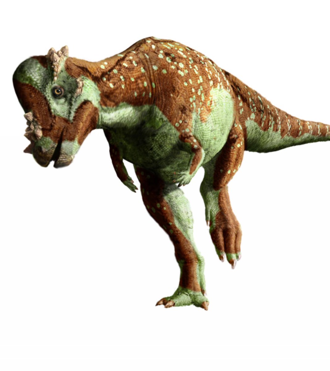 LBTLPodcast's tweet photo. The Dinosaur of the Day is Pachycephalosaurus! All that just means "thick headed lizard." Latinized Classical Greek is a hard language. https://t.co/JtzesExOfM