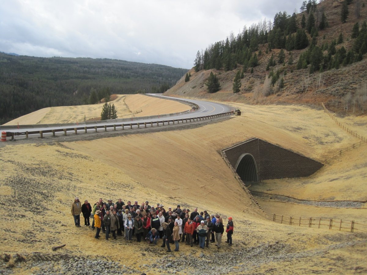 This #WildlifeCrossing structure is one of the most beautiful in Wyoming, in our opinion. Built by @WYDOT_Northwest during reconstruction of US 26-287 over the Continental Divide at Togwotee Pass. Group 📷of construction credit Paula McCormick. #IBrakeForMigration @WindRiverWY