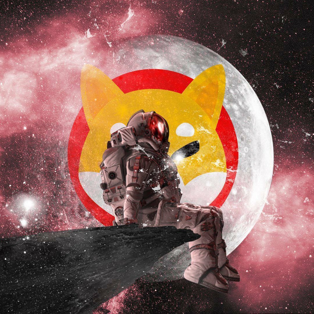 CandyCane2022's tweet photo. @Shibtoken Dodge to the Moon but🌙🚀
Shiba to Mars 🚀🌪 https://t.co/EAvrsHh4py
