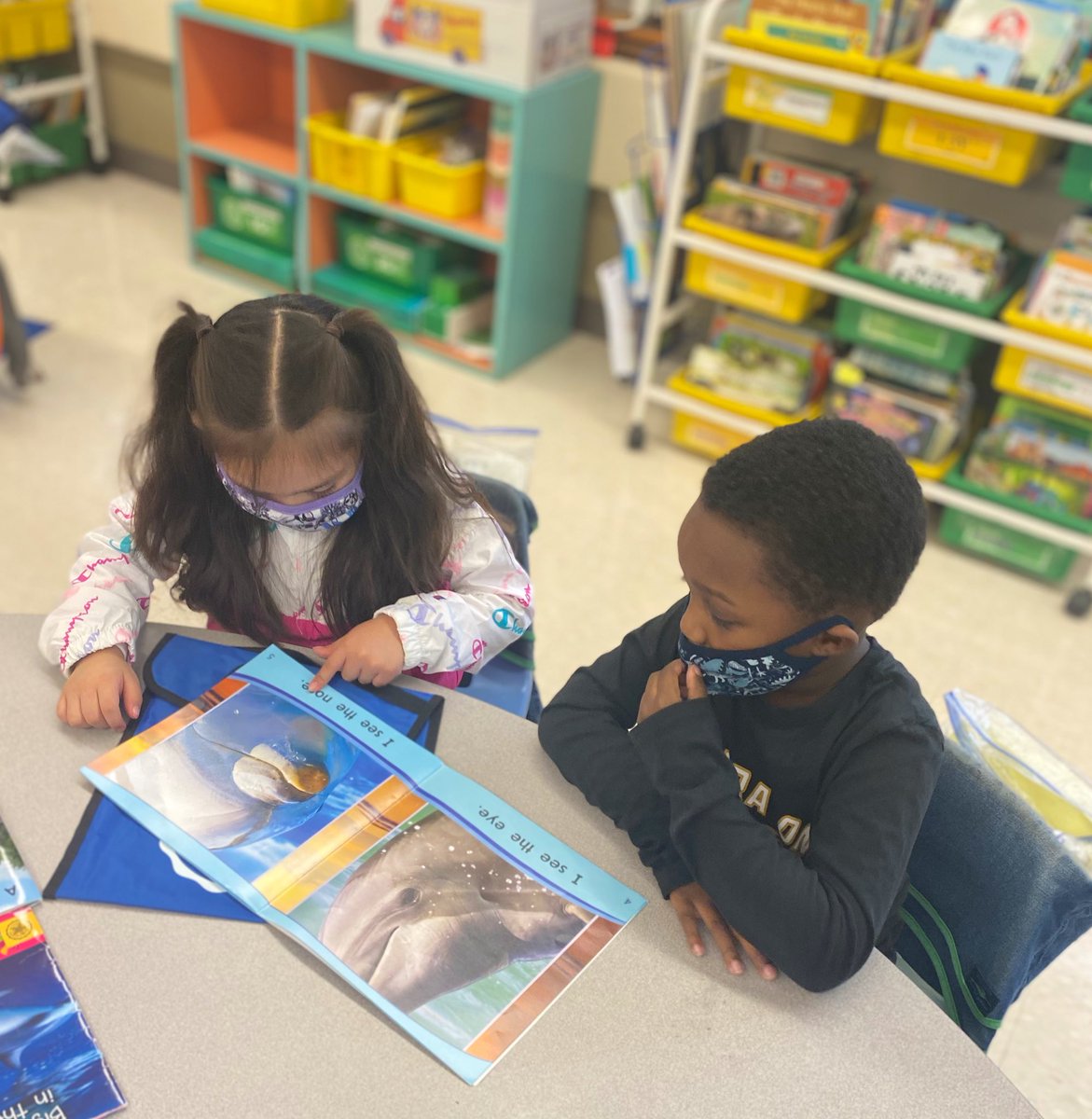 MsJacobs_Rm_15's tweet photo. Peers modeling how to read a pattern book!! Our Dual Language #kinderstars did this ALL ON THEIR OWN today! 👏🏼👏🏼👏🏼 Just kids being kids and helping one another 😍 #phwaves #proudteachermoment @MrsTomer_Rm16 @PhillipsAveElem @AmericanReading https://t.co/4btcdyx1Bq