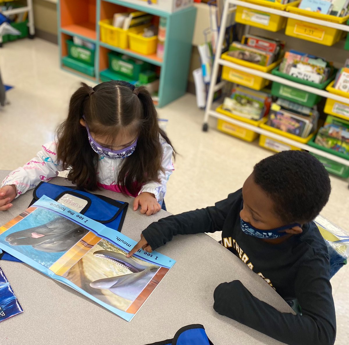 MsJacobs_Rm_15's tweet photo. Peers modeling how to read a pattern book!! Our Dual Language #kinderstars did this ALL ON THEIR OWN today! 👏🏼👏🏼👏🏼 Just kids being kids and helping one another 😍 #phwaves #proudteachermoment @MrsTomer_Rm16 @PhillipsAveElem @AmericanReading https://t.co/4btcdyx1Bq
