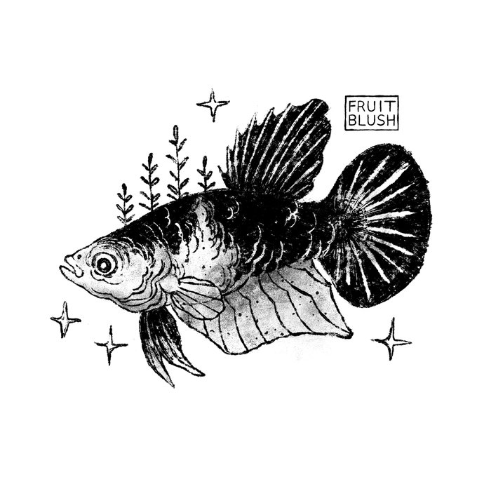 Halfmoon Plakat 