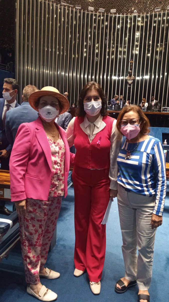 PL 5.090/20 APROVADO NO SENADO! ✊💖
O Projeto da Lei Mariana Ferrer coíbe e pune atos atentatórios à dignidade da vítima e de testemunhas de violência contra a mulher. Agora essa proposta vai a sanção. #JusticaPorMariFerrer