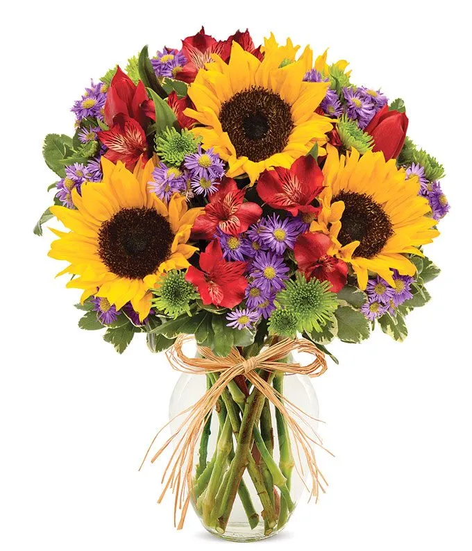 TechnoGardener's tweet photo. ☆✼★━━━━━━━━━━━━★✼☆

Plant : Flower Bouquet 

For : @Spiritae225 
 
From : @anarchylurker 

Message : You've kept me smiling despite the annoyances and unpleasantness of the past few days. Thank you. https://t.co/bBznbzHaNq