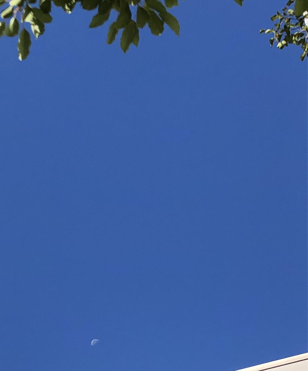furii_jp's tweet photo. おはようございます。

東京の今朝はよく晴れた気持ちのいい天気です☀️

10月ももう終わりますねー

今日も頑張りましょう👍

#企業公式が毎朝地元の天気を言い合う
#企業公式秋のフォロー祭り 
#企業公式相互フォロー
#がんばろう企業公式 https://t.co/zNHaKng81k