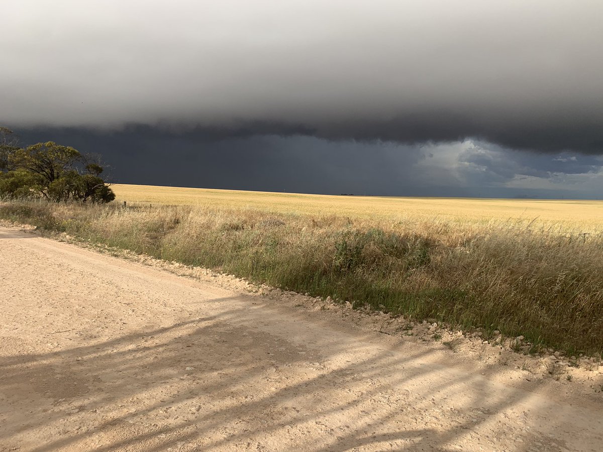 Andrew Polkinghorne tweet media