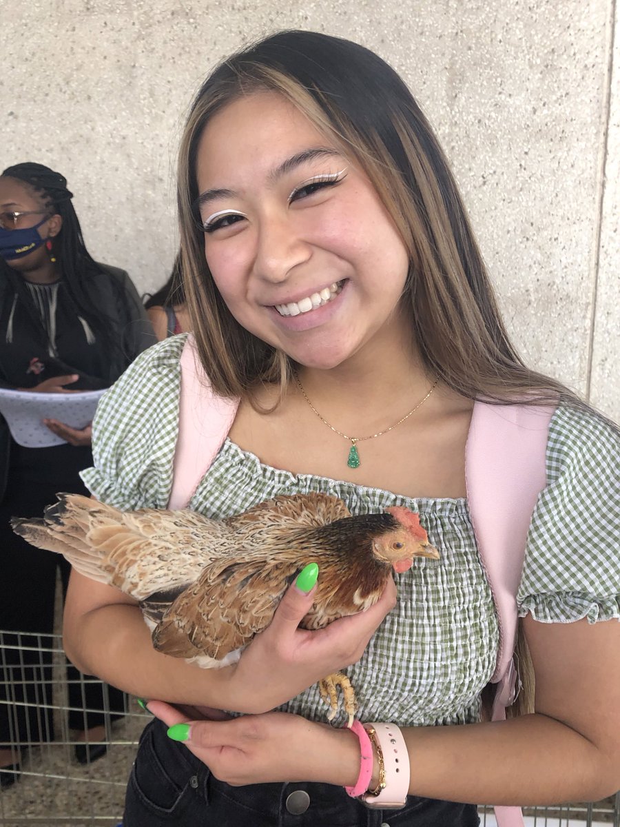 icdmatchaltte's tweet image. Chicken :D