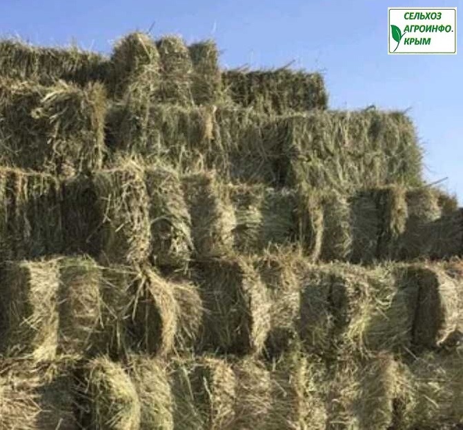 Sparkster rocket knight adventures 2 sega. Тюк сега. Тюк сена 200кг. Тюк сега. Луговое сено в тюках.