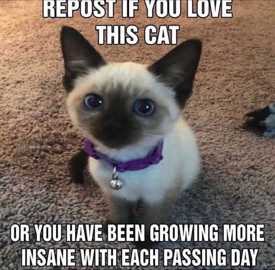 d_mpling's tweet image. 