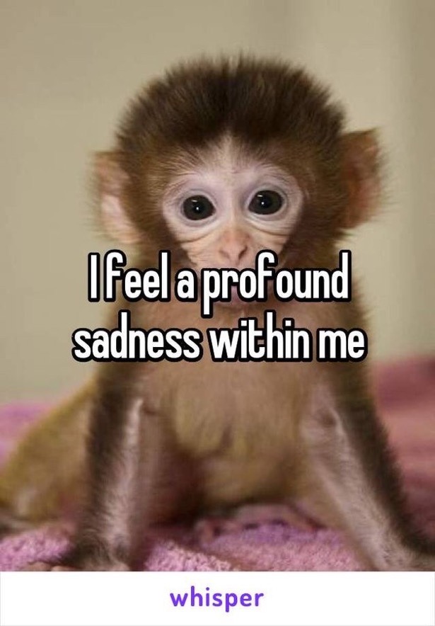 d_mpling's tweet image. 