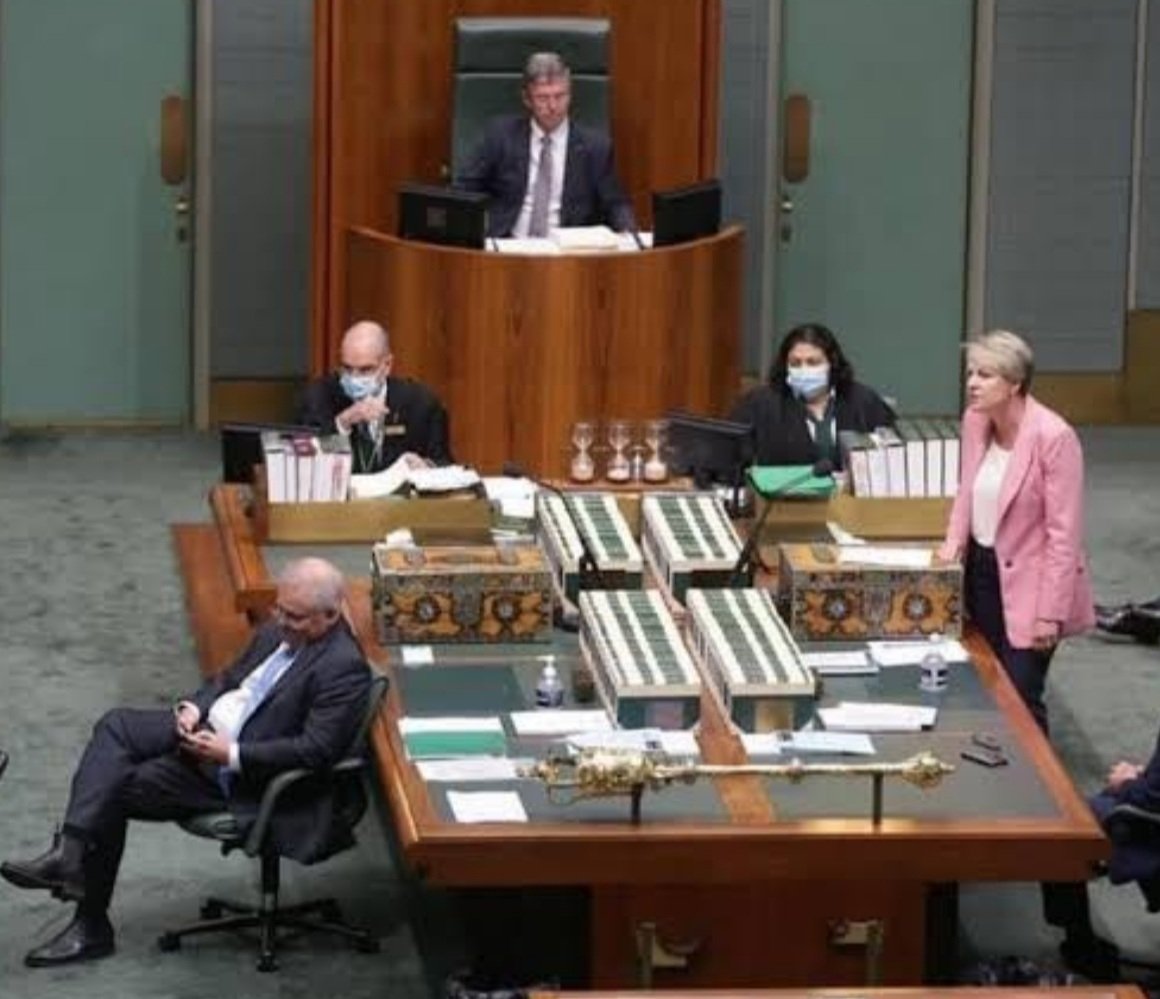 lesstenny's tweet photo. Plibersek should have walked round and clipped him over the ears says @Greggy512711
Who Agrees ๐๐. #auspol https://t.co/iTuPodi3C8