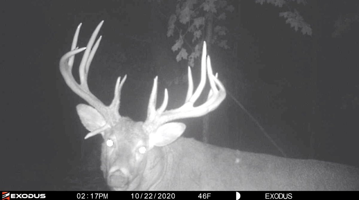 Cody and Homey take on a giant 190"+ buck on public land in today's episode!!! Link to watch: 
youtu.be/e8TR7_CTwFU
#deer #hunting #buck #publicland #bbd #giant #bowhunting