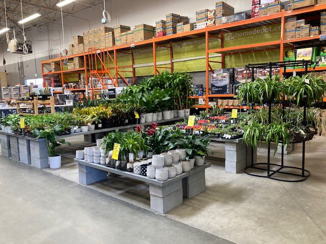 PPSLinda's tweet photo. HD1126 Greer #stillfall #houseplants @PPScatwilson @PPSinHD @pps_s_atlantic @DutileKathleen @Stephen_E_Camp @BobbyBoaenTHD https://t.co/5Adja0RepE