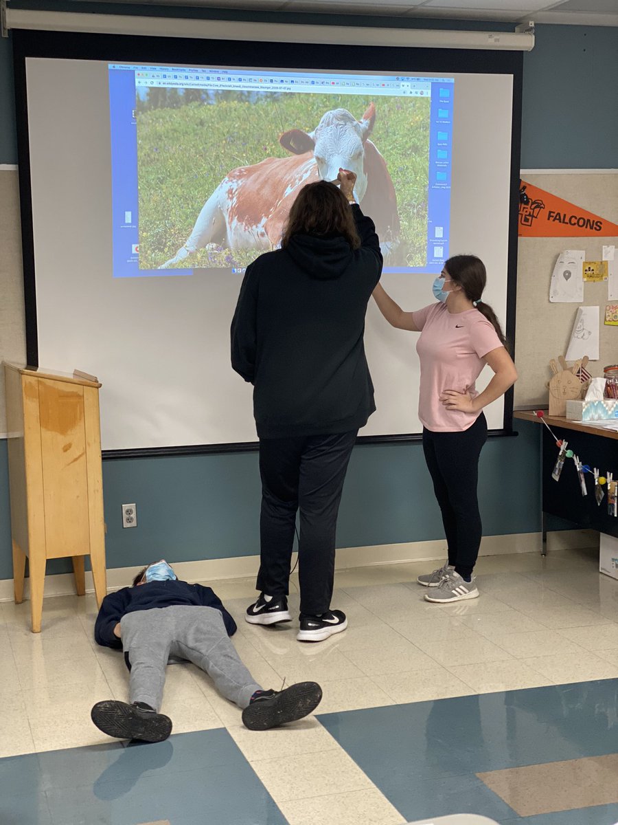 MaureenBruno's tweet photo. Odyssey tableau fun! Can u guess these scenes? #wermaumee #mhsenglishI https://t.co/TOwGxegJNj