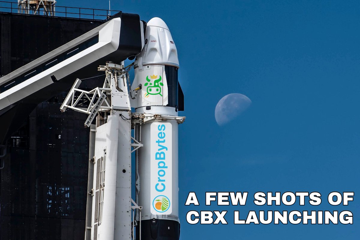 DanCosido's tweet photo. Day 6

Are you ready guys? 🚀

#AllisWellThatMemesWell
@CropBytes 
@P2EGG 
@Cryptic_Menaces 
#CBXtoken https://t.co/hfHfwClYOK