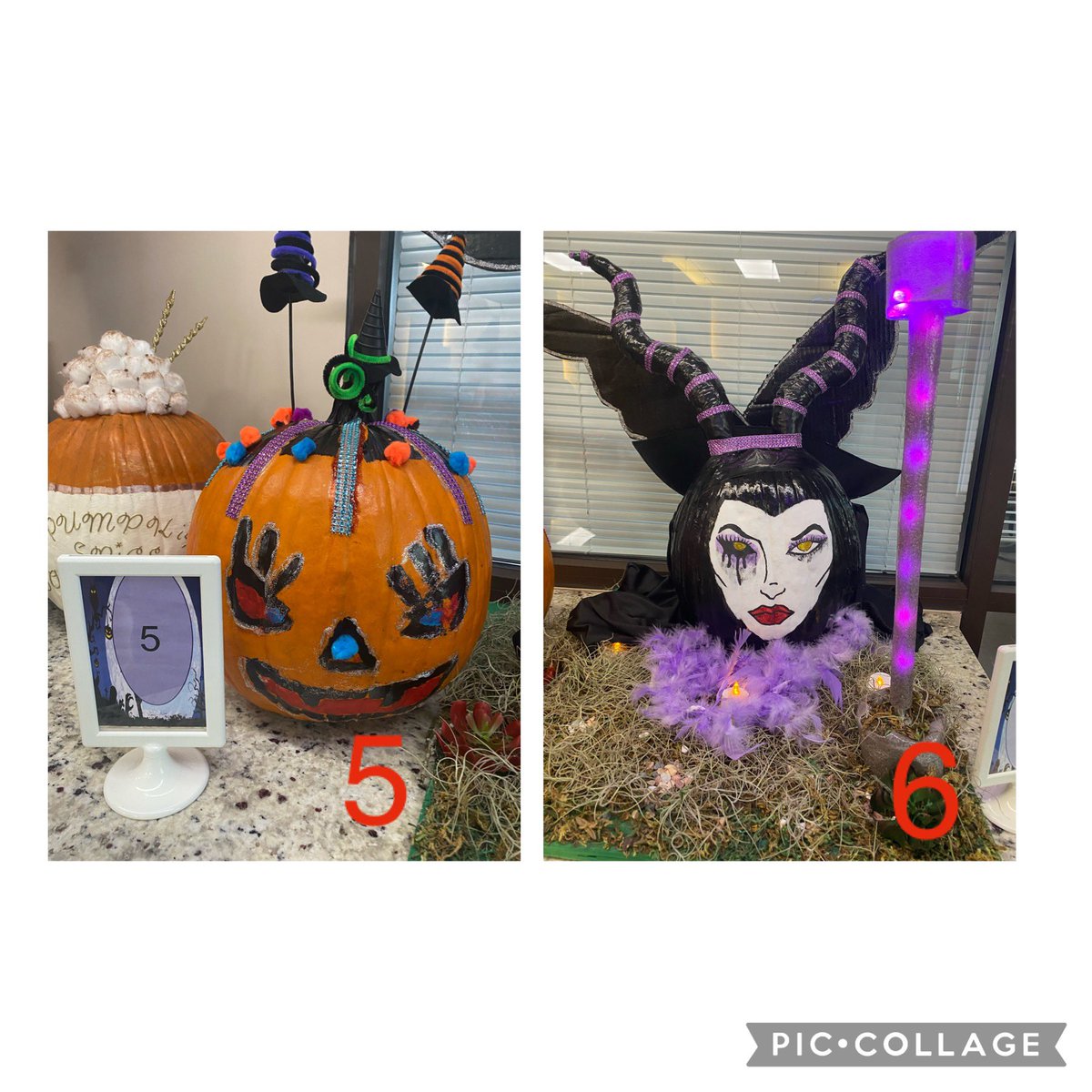 Lisa Jenkins tweet media