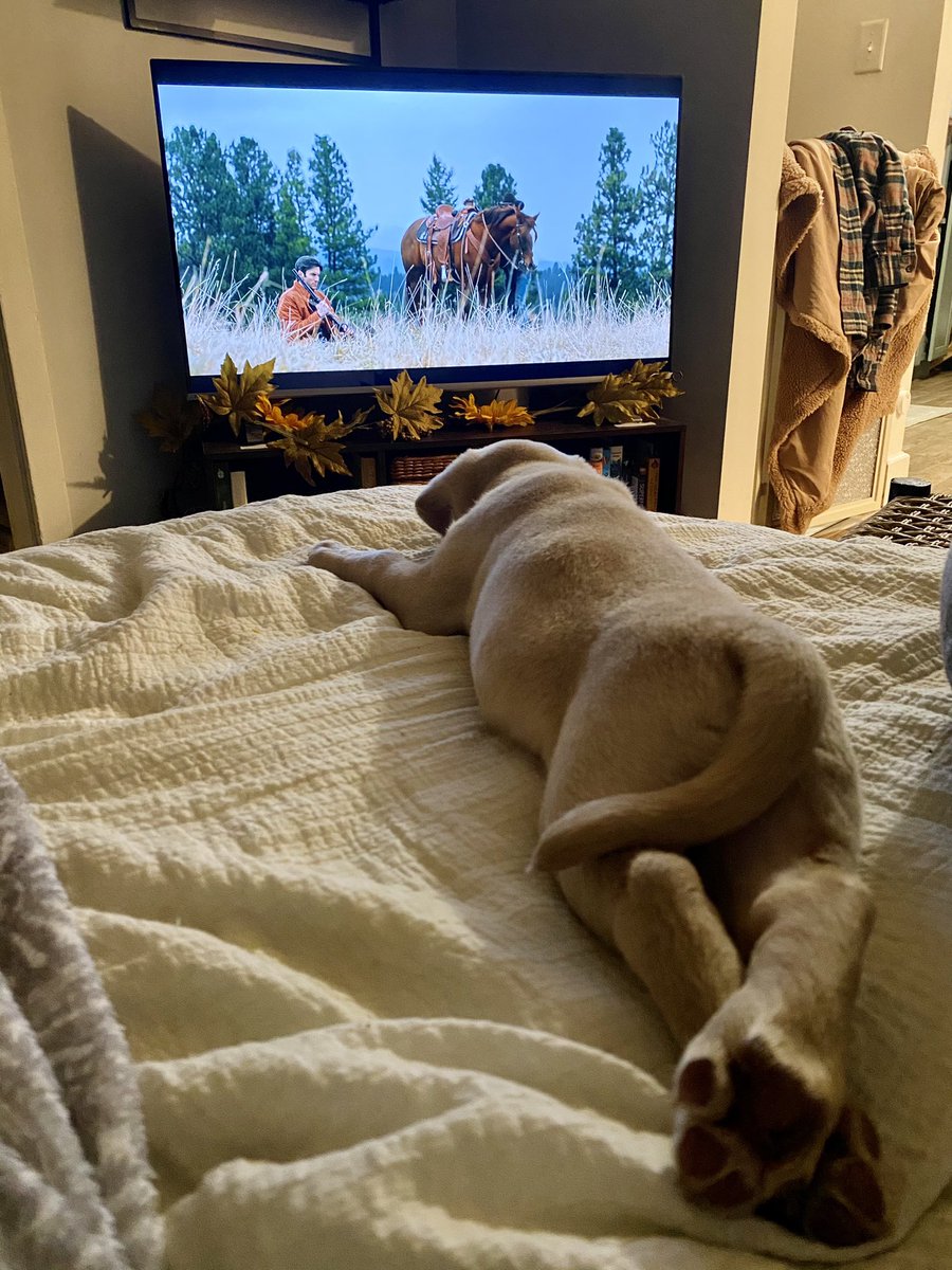 We’ve got a <a href="/Yellowstone/">Yellowstone</a> fan on our hands😍😂 #hank