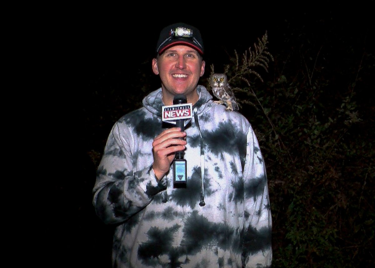 It's 2:00AM and I just got home from filming a story about migrating Northern Saw-whet Owls! Be sure to tune into PA live! and Eyewitness News newscasts today to see this most magical, and spooky, Halloween-inspired segment! 🦉