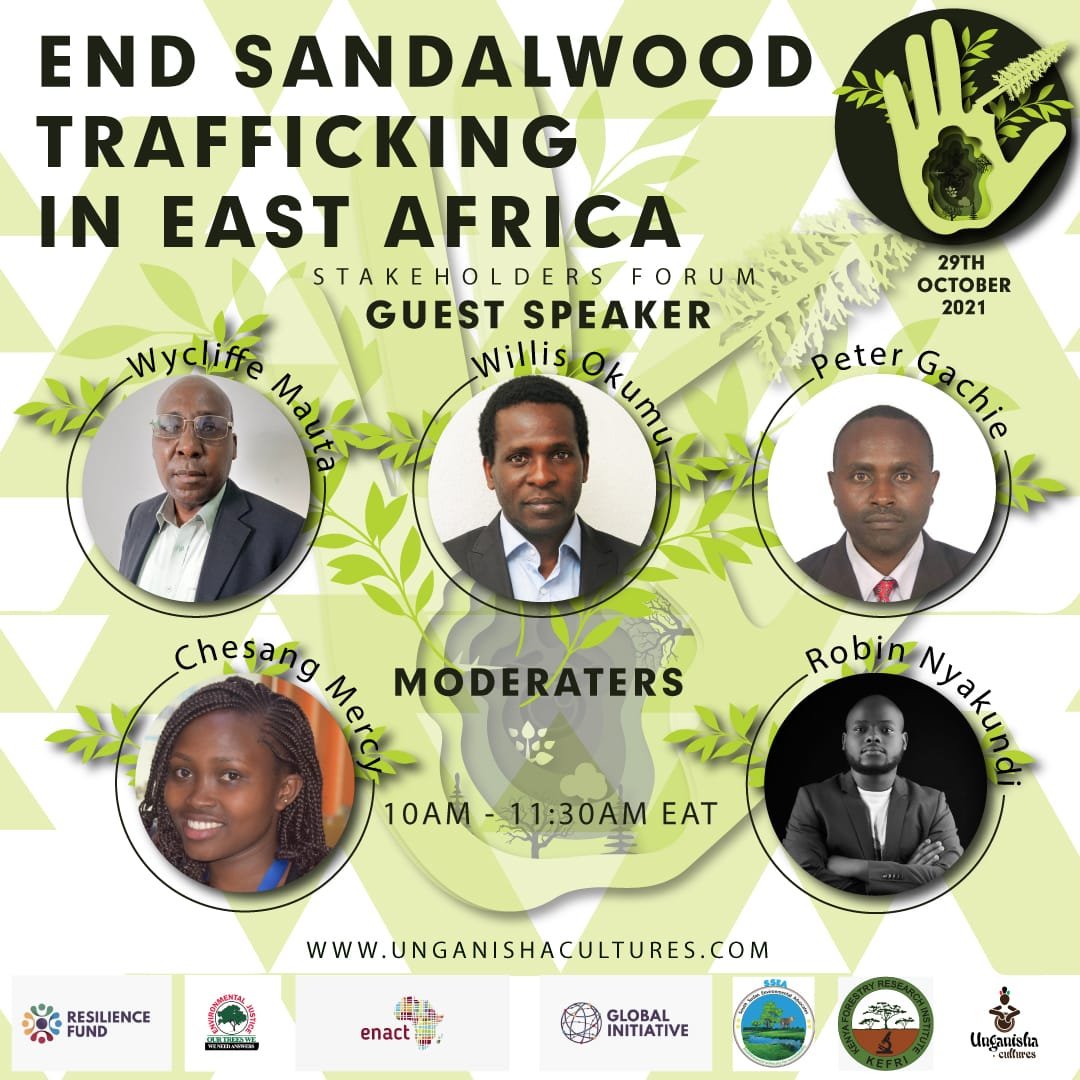 mercyches's tweet photo. What are the existing propagation methods for sandalwood in East Africa?
Let's engage @UnganishaCultur and @GI_TOC as we delve deeper. https://t.co/EOc8i5t40x