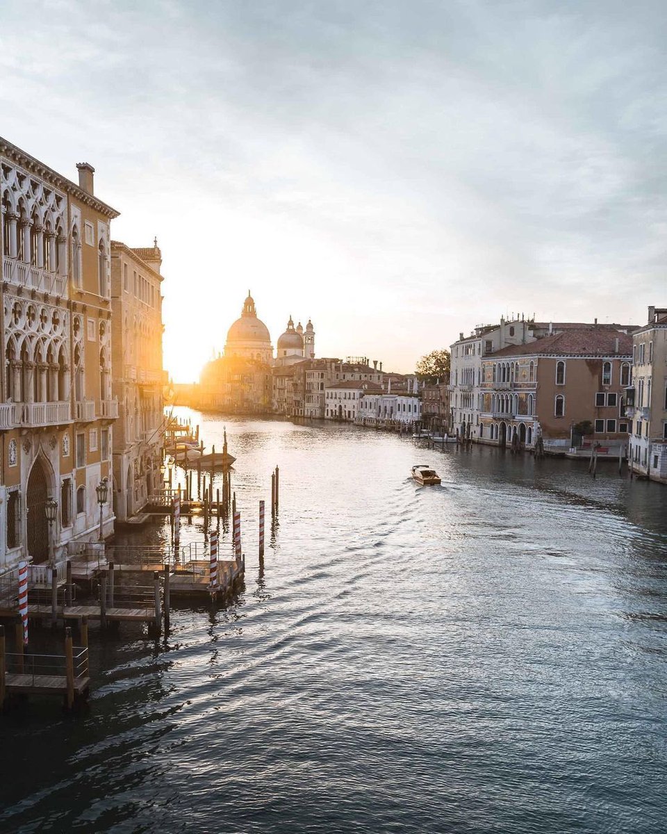 teatrolafenice's tweet image. ☀️ «Anche se il futuro sembra lontano, in realtà comincia proprio adesso» (Mattie JT Stepanek). Buongiorno, amici! ☀️

#28ottobre