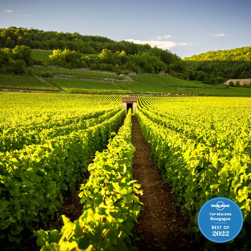 Lonely Planet France tweet media