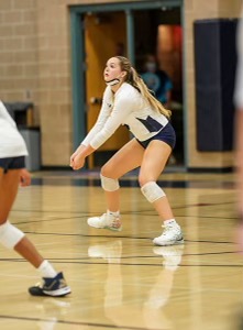 Neil Devlin tweet media