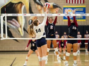 Neil Devlin tweet media