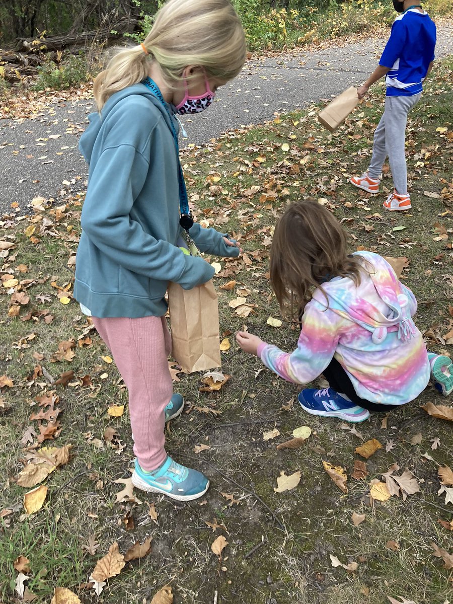 Gathering special items for our Scarecrow poem!  🌲🐿🍁🍂🍃
