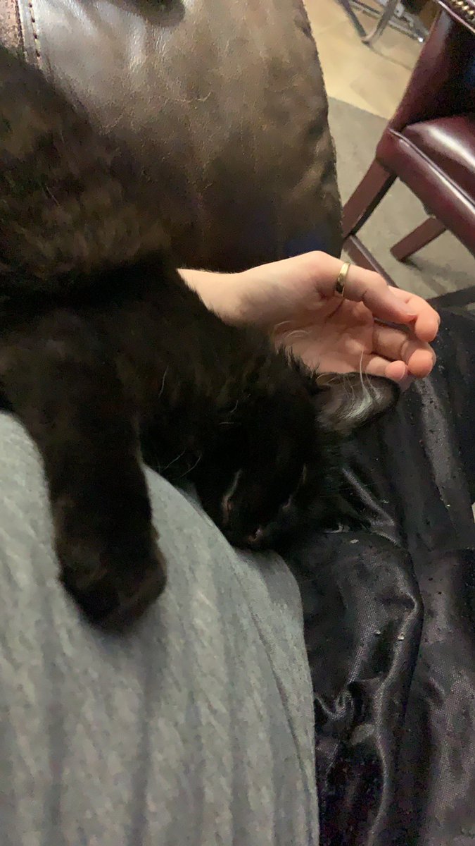 She’s so sleepy 😴