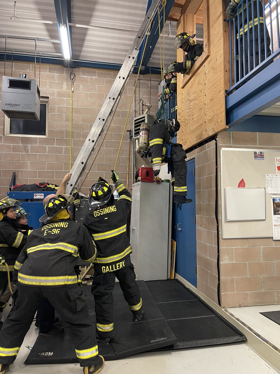 OFD Junior Corps. tweet media