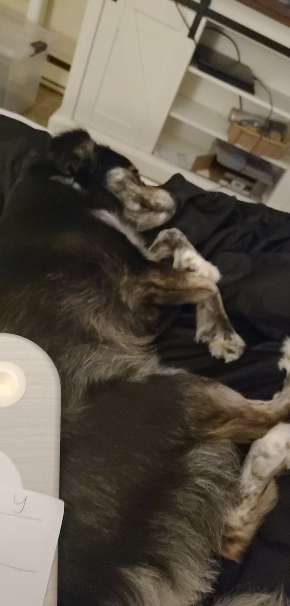 Wonderlandfall1's tweet photo. Mom wont gib me a belly roob. Auntie @megannashlie, is dis grounds for arrest? https://t.co/p4i2xvnceQ