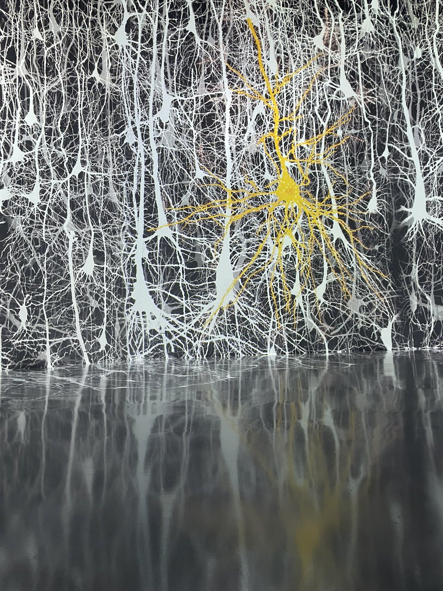 Alison Bashford (@arbashford) on Twitter photo A neuroscientist-artist’s dream. Thanks to all the artists and scientists who worked on this and to <a href="/SfNtweets/">Society for Neuroscience (SfN)</a> and <a href="/artechouse/">ARTECHOUSE</a> for setting up the coolest exhibit in D.C.🧠🎆 A neuroscientist-artist’s dream. Thanks to all the artists and scientists who worked on this and to <a href="/SfNtweets/">Society for Neuroscience (SfN)</a> and <a href="/artechouse/">ARTECHOUSE</a> for setting up the coolest exhibit in D.C.🧠🎆