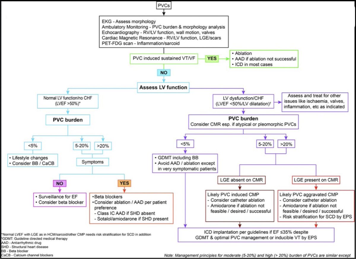 champ_wayne tweet media