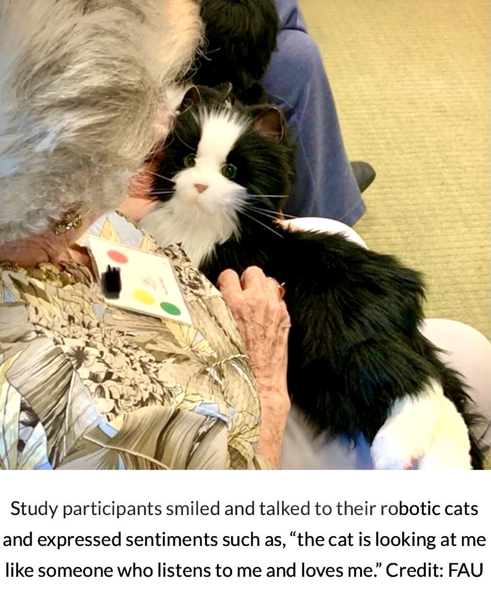 enilev's tweet photo. #Robotic #Pet Boosts #Mood Behavior and #Cognition in #Adults With #Dementia 

https://t.co/aSRx7Xu5fF

#Neuroscience #ADRD 

@GlenGilmore @Nicochan33 @andi_staub @HaroldSinnott @JBarbosaPR @gerald_bader @mvollmer1 @BetaMoroney @IanLJones98 @MargaretSiegien @AlbertoEMachado https://t.co/b0T8VAA7Am