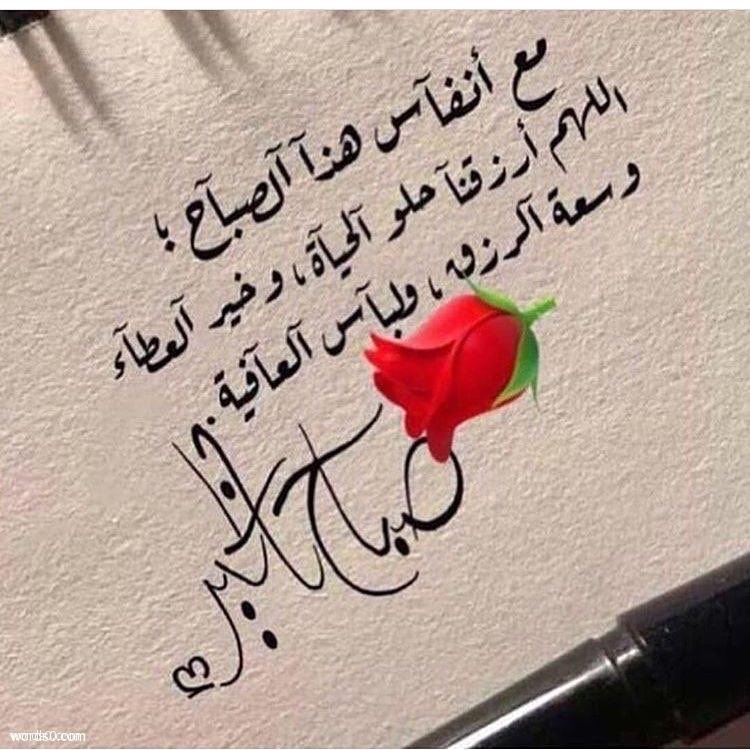 فرحان شخير العنزي (@farhanalanzi2) on Twitter photo 