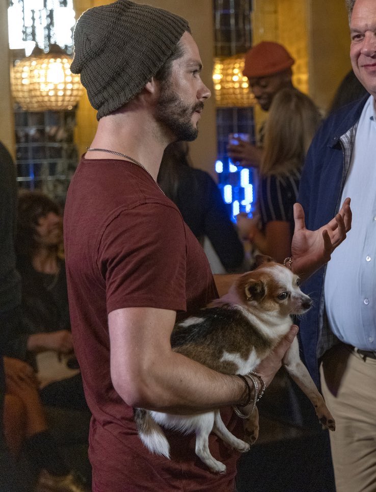 Emily 🐺 tweet media